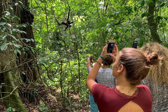 Private Tour: Coba ruins & Monkey Sanctuary with Punta Laguna - The 6:00 am Start That Actually Makes Sense
