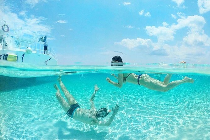 Private Tour in Cozumel El Cielo Sandbar and Reef Snorkeling - The beach picnic: guacamole, tortas, ceviche, fruit, and the drink plan