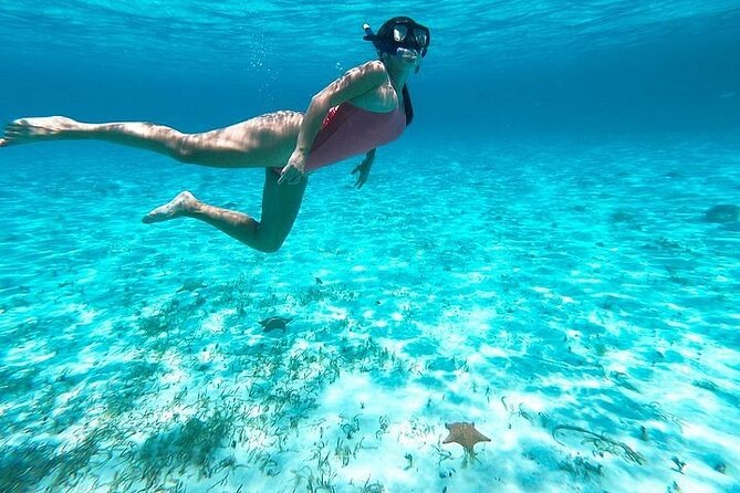Private Tour in Cozumel El Cielo Sandbar and Reef Snorkeling - Meeting point, cruise timing, and what you should double-check