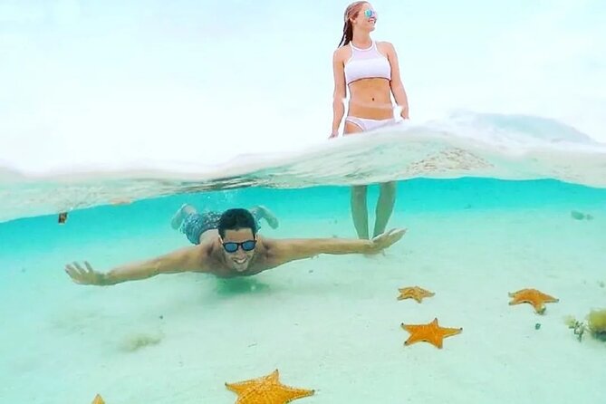 Private Tour in Cozumel El Cielo Sandbar and Reef Snorkeling - Price and value at $189 per person