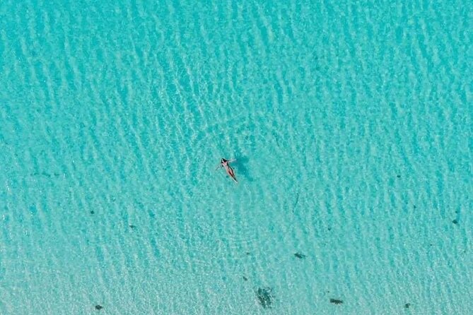 Private Tour in Cozumel El Cielo Sandbar and Reef Snorkeling - Who should book this El Cielo reef and sandbar combo