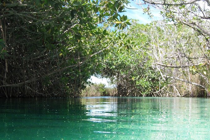 Private tour of Tulum Archaeological Site & Sian Ka'an Muyil - Two worlds in one morning and afternoon: Tulum ruins plus Sian Ka’an Muyil
