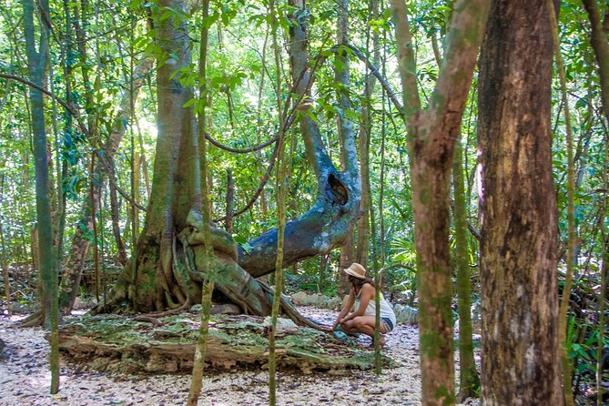 Private tour of Tulum Archaeological Site & Sian Ka'an Muyil - Stop 1: Tulum Archaeological Site, 2 hours with admission included