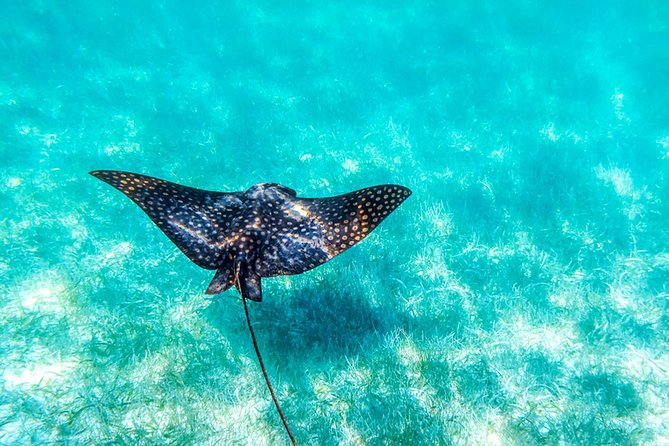 Private tour - Sian Ka´an Adventure - Morning Pickup and The 7:00 AM Start You Should Actually Plan For