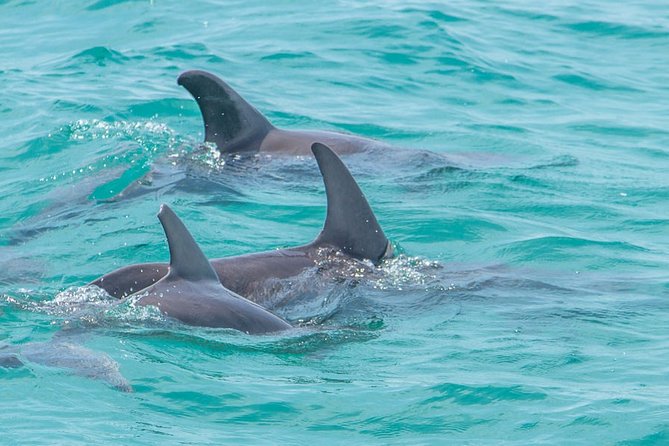 Private tour - Sian Ka´an Adventure - Price and Logistics: What $619 Buys, and Where Extra Fees Can Appear