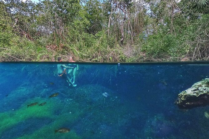Private Tour The Best Cenotes in Tulum Riviera Maya - Xunaan Ha for Open-Air Relaxation and That Big Cenote Feeling