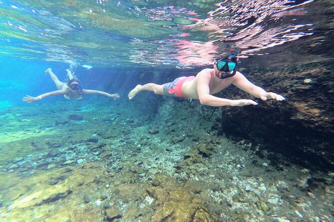 Private Tour The Best Cenotes in Tulum Riviera Maya - Gran Cenote Snorkeling: Guided Float Through a Semi-Underground World
