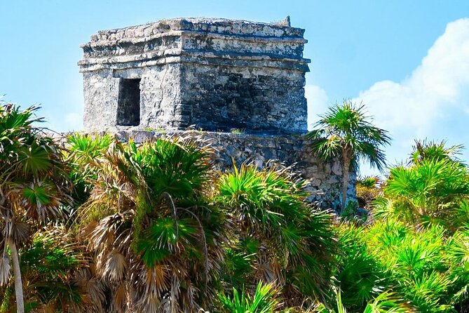 Private Tour to Tulum, Cenote and Swimming with Turtles - Price and value: what $410 per person really covers