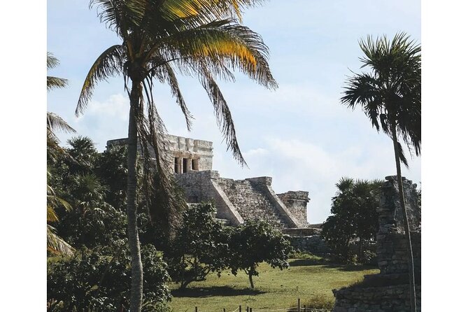 Private Tour to Tulum, Cenote and Swimming with Turtles - Taak Bi Ha cenote (Parque Dos Ojos): the clearest part of the day