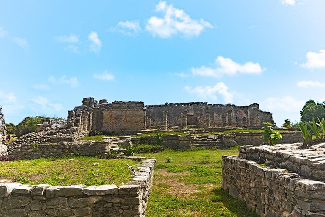 Private Tour to Tulum Ruins, Swim with turtles and Cenote Cave - Stop 3 at Cenote Nohoch: jungle swim in a natural limestone sinkhole