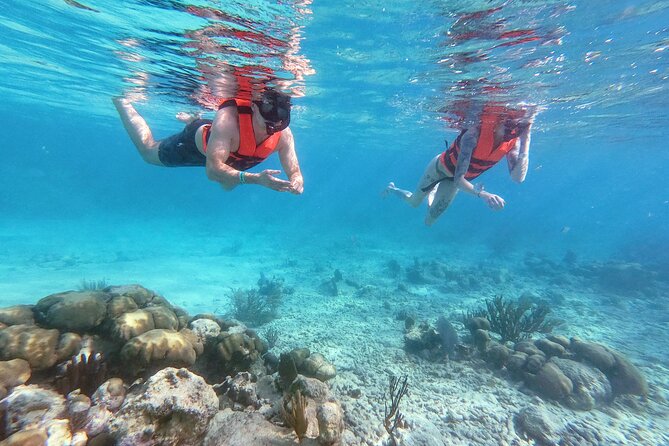 Private Tour Tulum Ruins and Snorkeling in National Park - A private Tulum day that feels like two different worlds