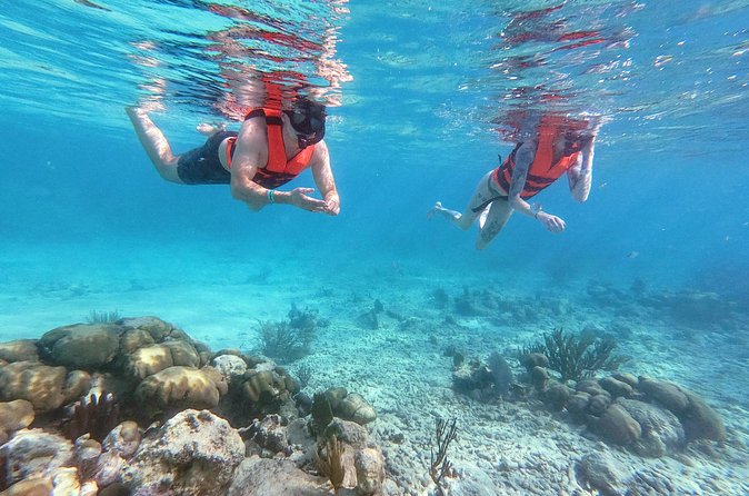 Private Tour Tulum Ruins and Snorkeling in National Park - Snorkeling equipment and lunch: the included value you actually feel