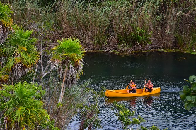 Private tour: Tulum Ruins & Jungle Adventure with Cenote - Price and value, plus the $20 government fee