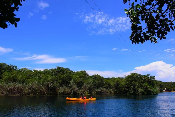 Private tour: Tulum Ruins & Jungle Adventure with Cenote - Zip lines, jungle trek, rappel, and cenote snorkeling