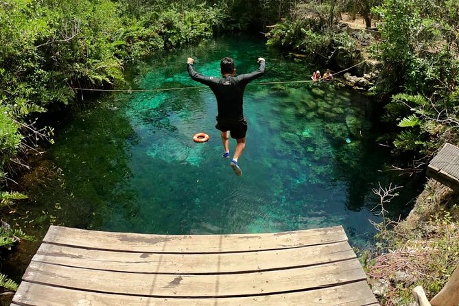 Private Tour Tulum Tortugas Cenote Beach All Inclusive - Cenote Xunaan-Ha: calm freshwater surrounded by greenery