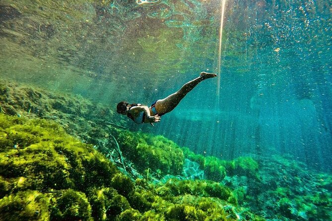 Private Tour Turtles Coral Reef Cenote Beach All inclusive - Jungle Fish Beach Club in Akumal, lunch that feels local not staged