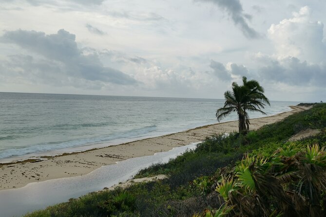 Private Transfer-Cancun Airport-Playa del Carmen One Way - What to know before you go (so nothing surprises you)