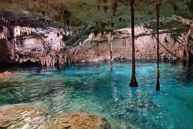 Private Tulum Experience & Cenote - Key Highlights