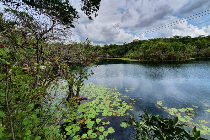 Private - Tulum Ruins and 3 Cenotes Jungle Adventure - Snorkeling in cenotes, not the open ocean