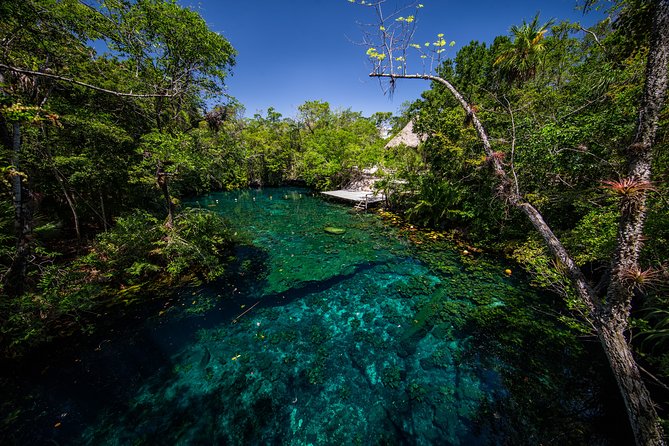 Private - Tulum Ruins and 3 Cenotes Jungle Adventure - Traditional Mayan lunch and the food that keeps you going