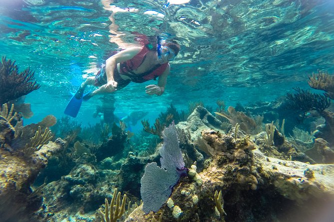 Private Tulum Ruins, Reef Snorkel & Cenote Adventure - Tulum ruins on the Caribbean edge: history with photo time