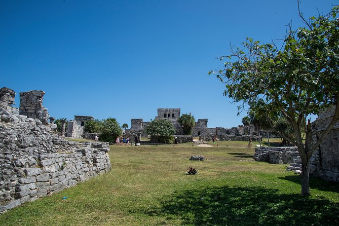 Private Tulum Ruins, Turtles in Akumal and Cenote Adventure - Lunch that actually fits the day: Mexican tacos, plus dietary options