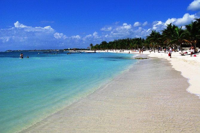 Private Turtle Snorkel Adventure in Akumal - The Private Guide Advantage, Especially With Xenia