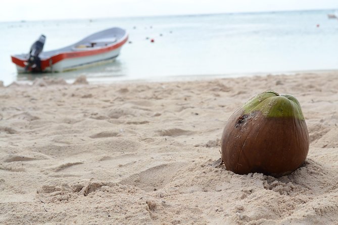 Private Turtle Snorkel Adventure in Akumal - Price and Value: What You Pay, What You Still Need