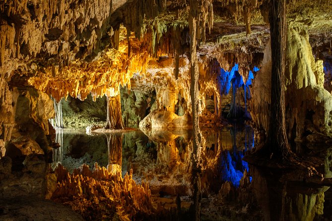 Private Turtles & Cenotes Adventure - The Cenote Stop: Freshwater Swimming Under Stalagmites and Stalactites