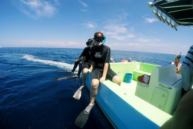 Private Whale Shark All Inclusive Experience - Whale sharks with a private crew, plus reef and Playa Norte