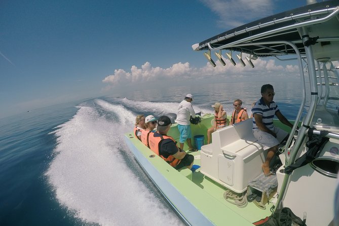 Private Whale Shark All Inclusive Experience - Mayan Coral Reef snorkeling: gear, rules, and what to expect