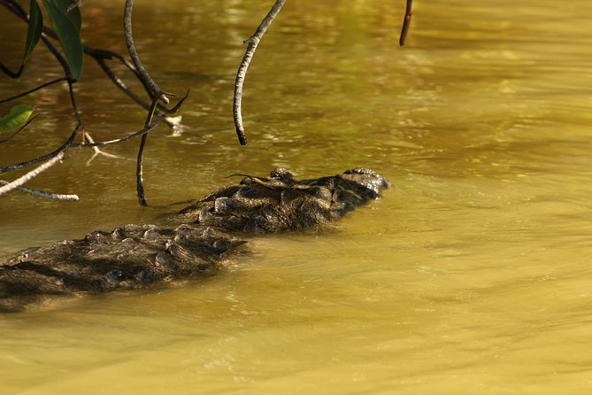 Private Yucatan Discovery Tour - Hotels, transport, and what a private guide changes
