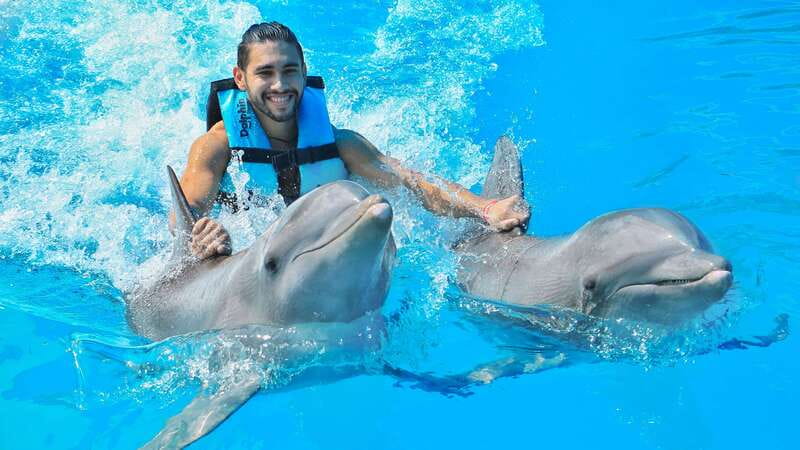 Puerto Aventuras: Dolphin Swim, Sea Lions, Manatees, & Lunch - Key things to know before you book