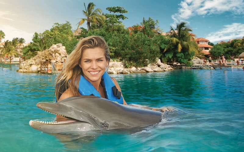 Puerto Aventuras: Dolphin Swim, Sea Lions, Manatees, & Lunch - Puerto Aventuras Marina: a smart base for animal time and a real lunch break