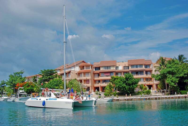Puerto Aventuras: Dolphin Swim, Sea Lions, Manatees, & Lunch - Lunch by the water: buffet meal plus two non-alcoholic beverages