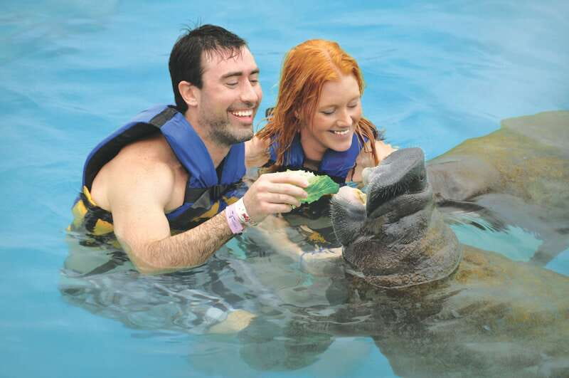 Puerto Aventuras: Dolphin Swim, Sea Lions, Manatees, & Lunch - Facilities and comfort: lockers, showers, restrooms, and what to bring