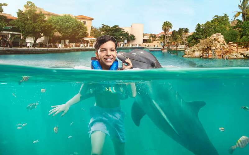 Puerto Aventuras: Dolphin Swim, Sea Lions, Manatees, & Lunch - The Royal Swim Plus dolphin hour: hand target and guided playtime
