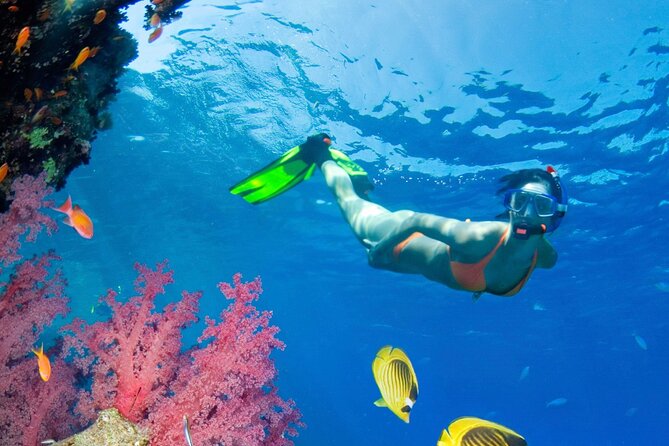 Puerto Morelos Catamaran Reef Sail and Snorkel - Puerto Morelos National Reef Park: why this water is worth the trip