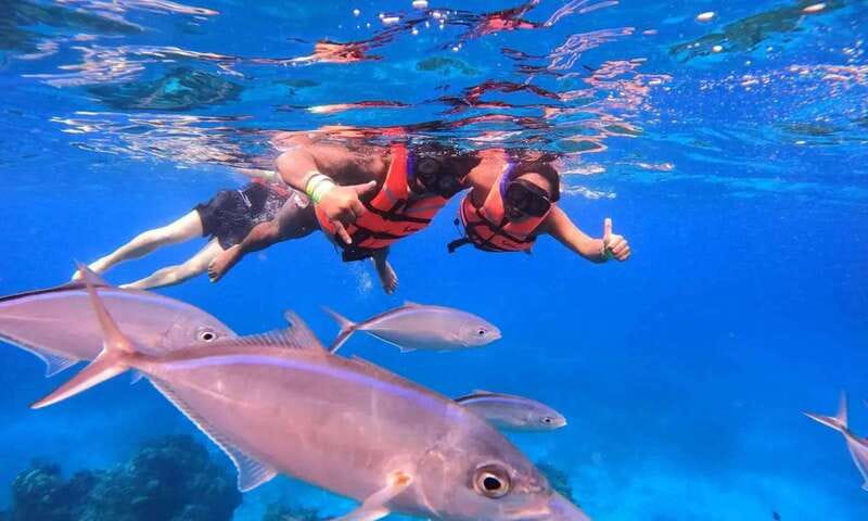 Puerto Morelos: Guided Snorkeling Tour with Gear & Fees - First stop: meeting at Javier Rojo Gomez and getting set up fast