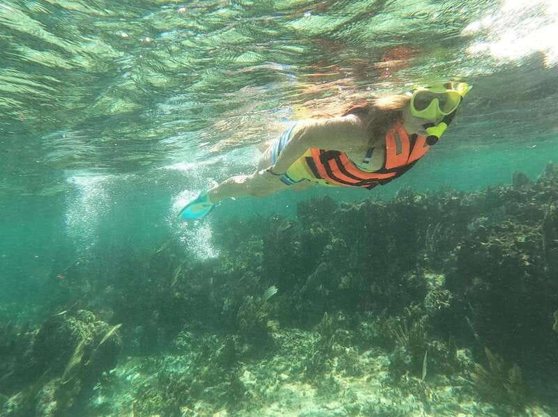 Puerto Morelos: Guided Snorkeling Tour with Gear & Fees - Snorkeling gear and what to check before you go
