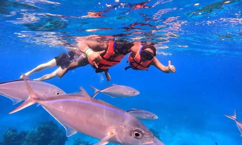 Puerto Morelos: Guided Snorkeling Tour with Gear & Fees - The rules that protect the reef, and how to follow them easily
