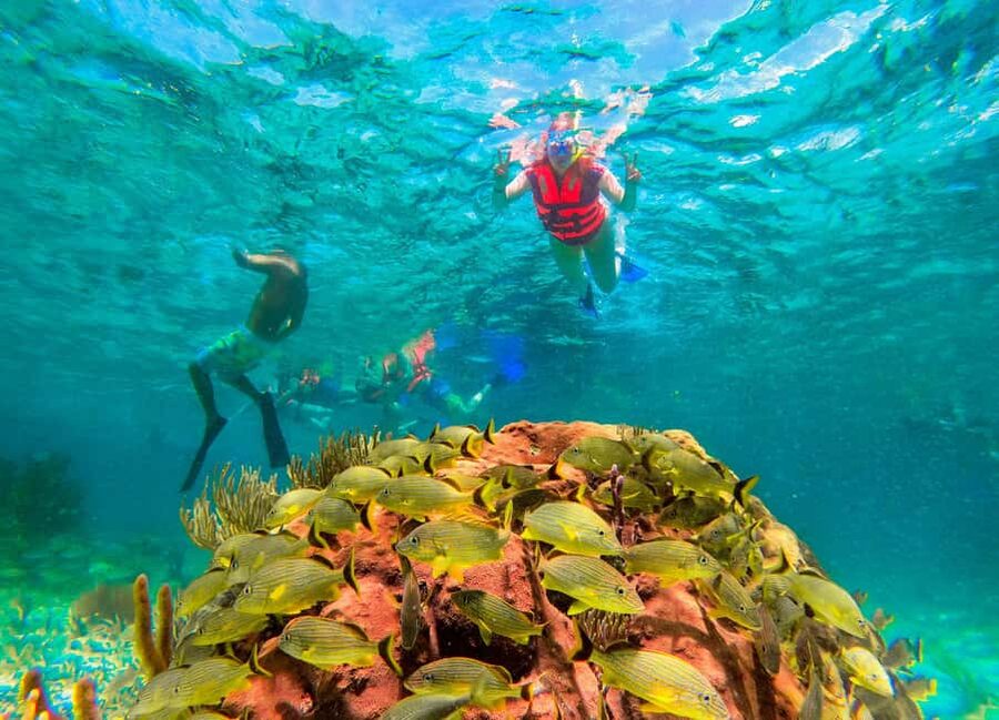 Puerto Morelos: National Reef Park Snorkeling & Beach Lunch - Gear and safety: lifejacket support, plus hands-on guidance