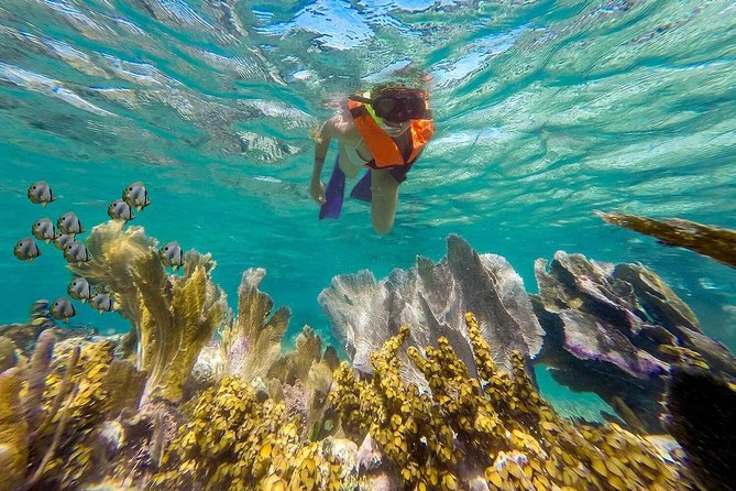Puerto Morelos Reef Snorkeling Tour with Lunch & Hotel Pickup - The Puerto Morelos Fish Market Lunch Stop and Shopping Time