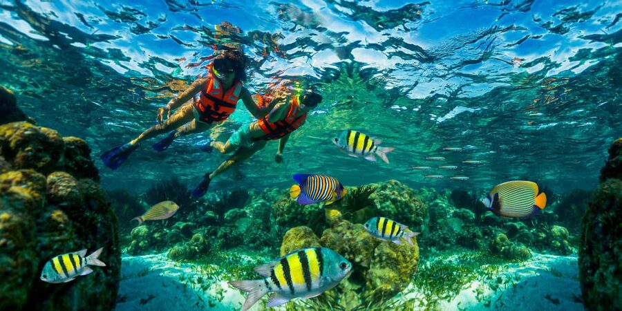 Puerto Morelos: Snorkel, Town Walk, Tequila & Beach Lunch - Reef rules that affect your day: cameras, sunscreen, and lockers