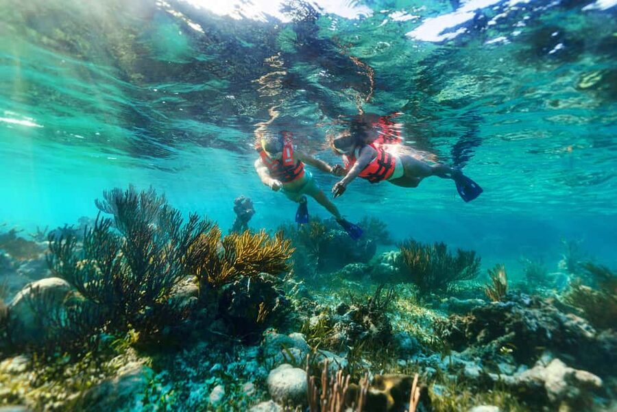 Puerto Morelos: Snorkel, Town Walk, Tequila & Beach Lunch - Tequila tasting: the fun detour after the water
