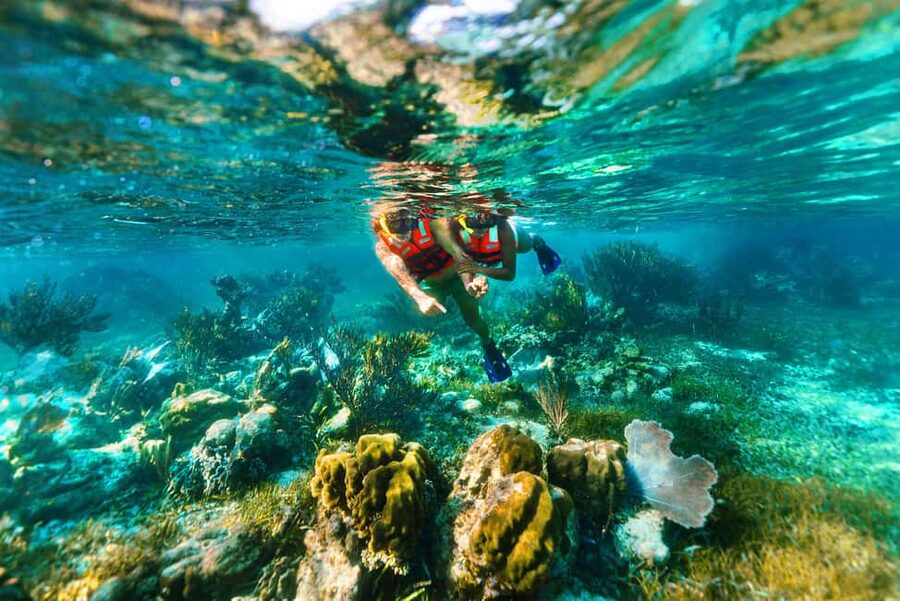 Puerto Morelos: Snorkel, Town Walk, Tequila & Beach Lunch - Value for $39: what’s included and what costs extra