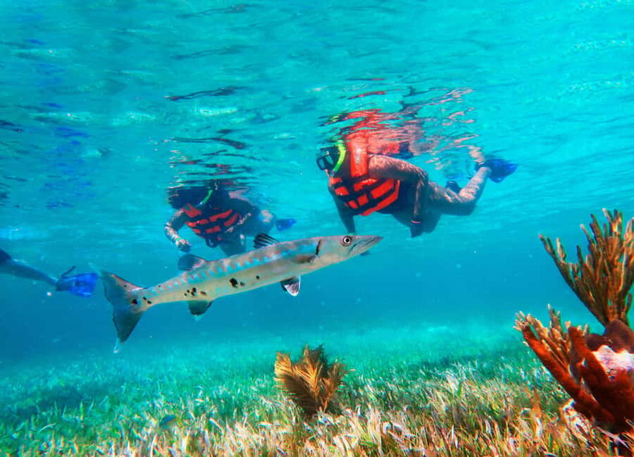 Puerto Morelos: Snorkel, Town Walk, Tequila & Beach Lunch - The snorkeling session: gear, timing, and what can change