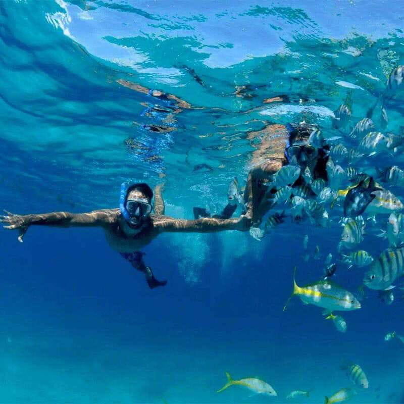 Puerto Morelos: Snorkeling at The National Reef Park - Snorkeling at Puerto Morelos National Reef Park: the reef you’re actually visiting