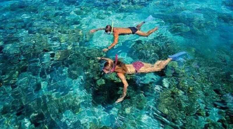 Puerto Morelos: Snorkeling at The National Reef Park - What the $37 price gets you, and why it’s decent value