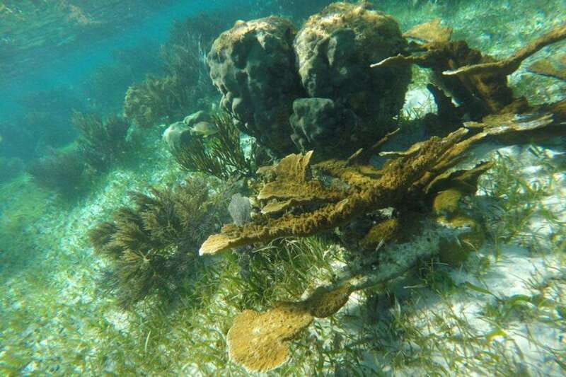 Puerto Morelos: Snorkeling Guided Activity - Safety briefing, reef-friendly rules, and getting your gear ready